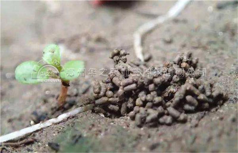 禽畜糞便一定要發(fā)酵后才是有機(jī)肥？