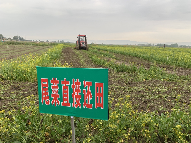 養(yǎng)殖場糞污環(huán)保處理的常用方法有哪些？