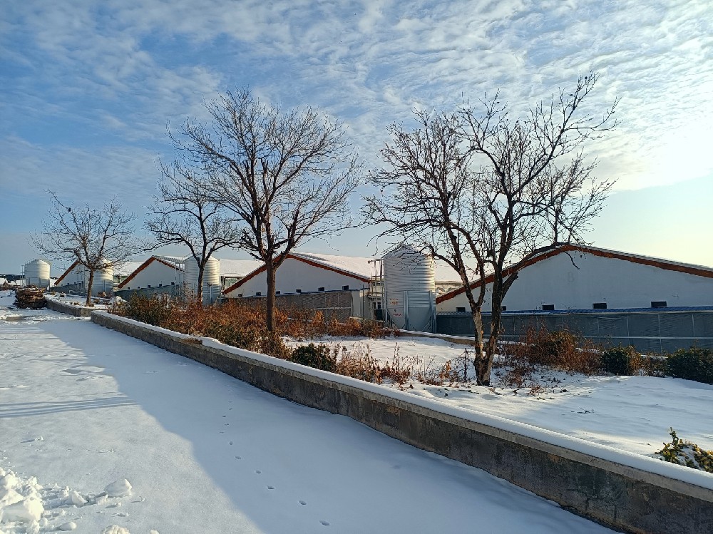 冬季雞糞發(fā)酵罐怎樣防凍?